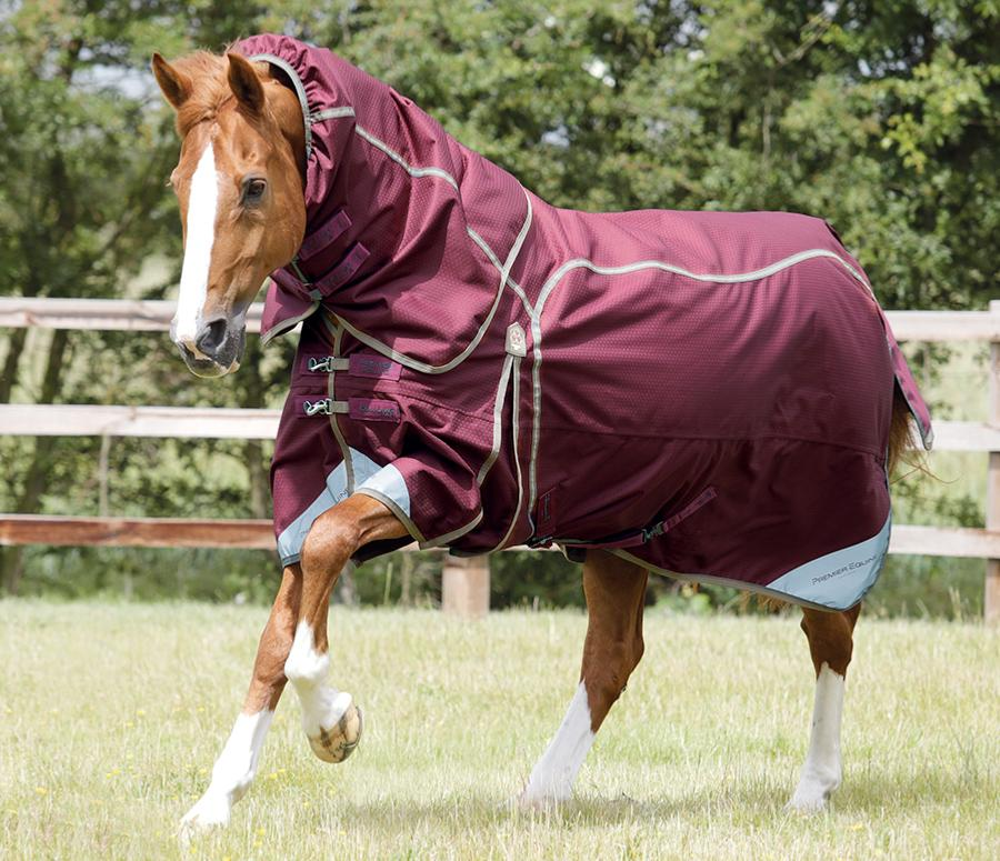 Horse Wear – Page 17 – Showtime Equestrian