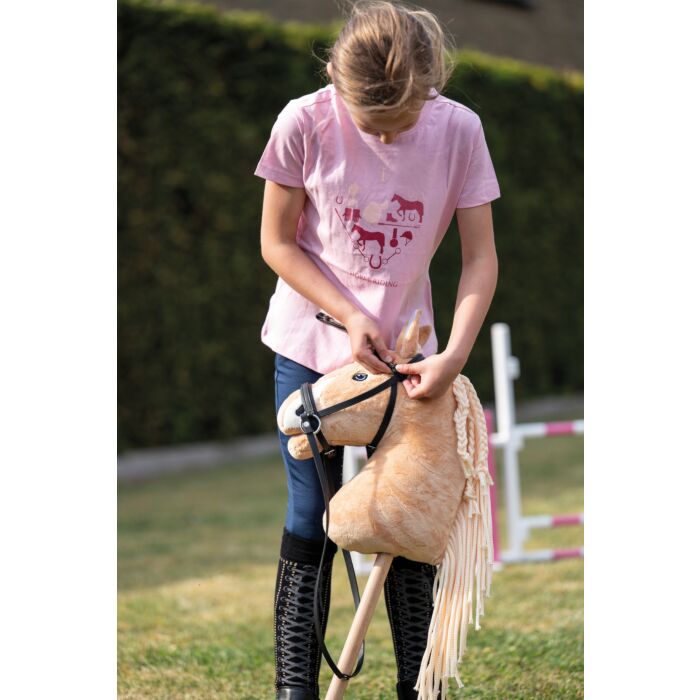 Hobby Horsing Bridle
