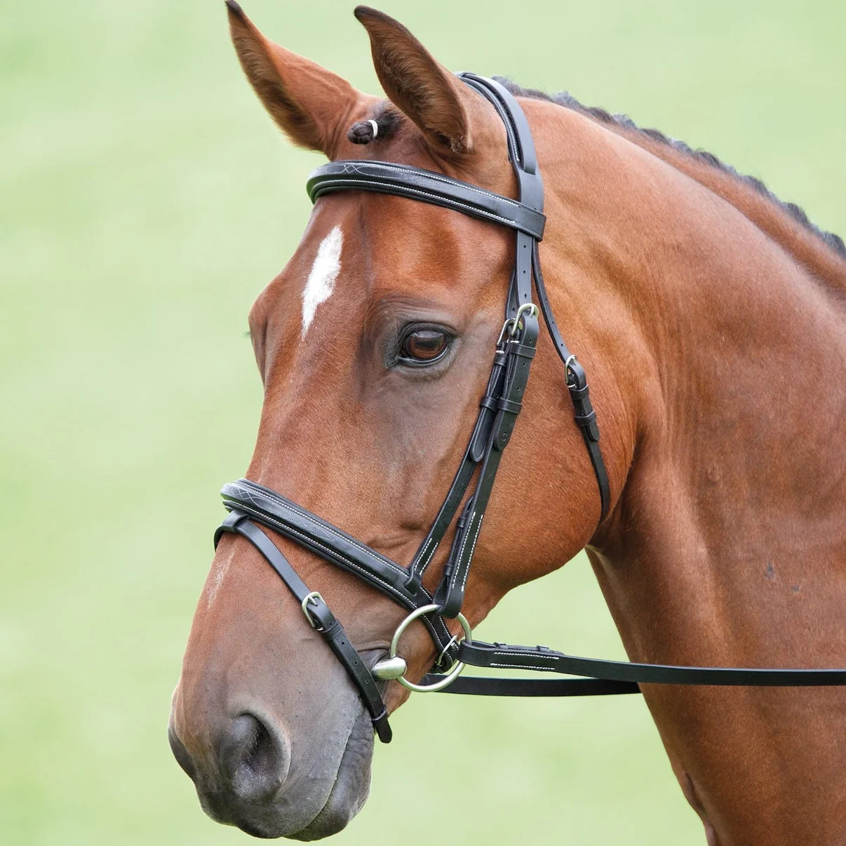 Salisbury Bodenham Bridle
