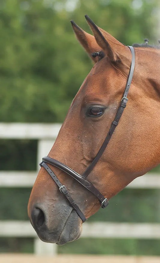 Gara Flash noseband