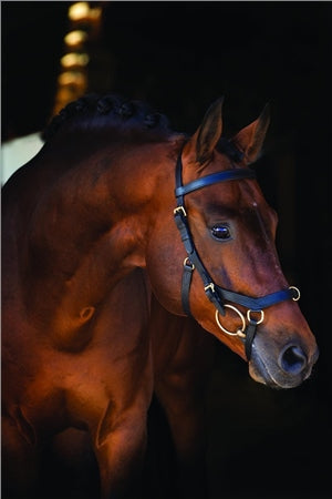 Rambo Micklem Multi Bridle