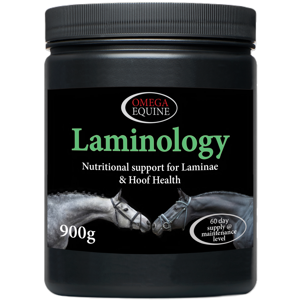Omega Equine Laminology (900g)