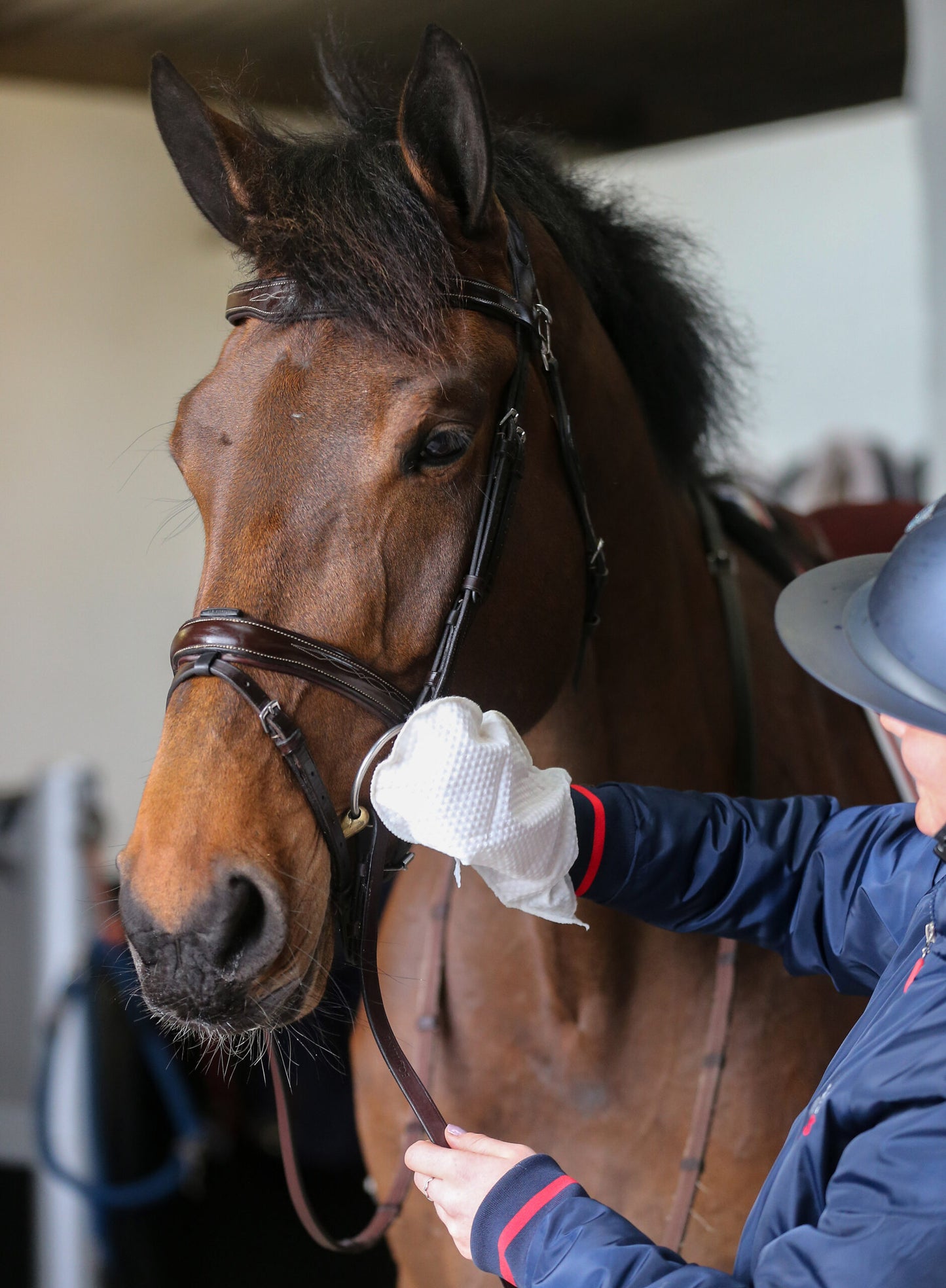 Carr & Day & Martin Belvoir Tack Cleaner Mitt