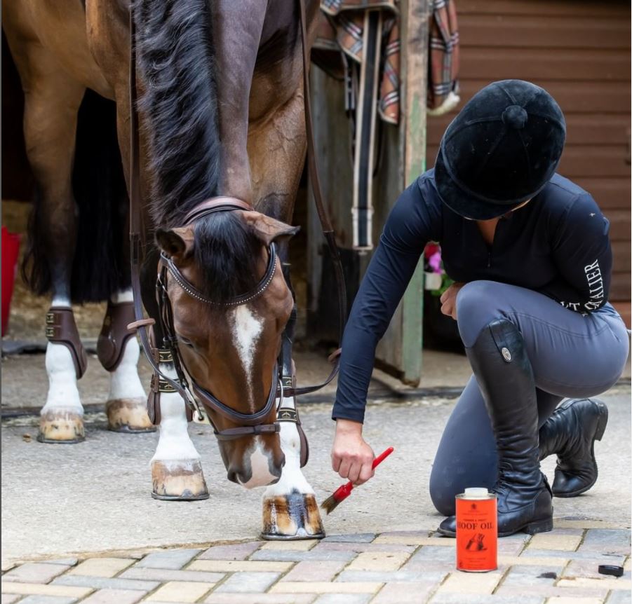 Carr & Day & Martin Vanner & Prest Hoof Oil