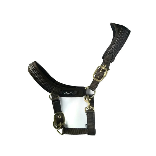 Anatomic Headcollar