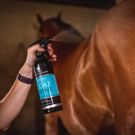 Carr & Day & Martin Canter Coat Shine Conditioner