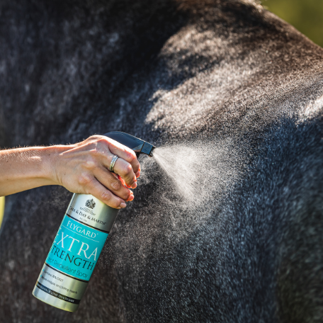 Carr & Day & Martin Flygar Extra Strength Insect Repellent Spray