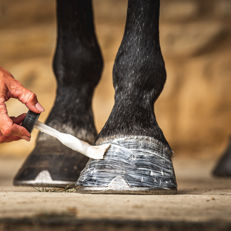 Carr & Day & Martin Cornucrescine Daily Hoof Moisturiser