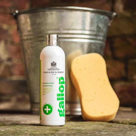 Carr & Day & Martin Gallop Medicated Shampoo