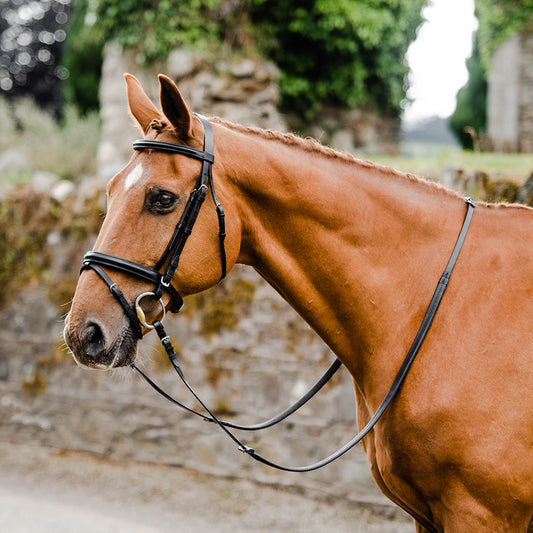 Equisential Bridle & Reins