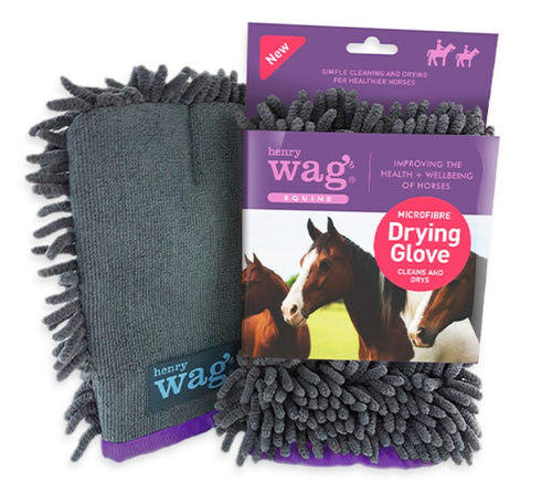 Henry Wag Equine Drying Glove