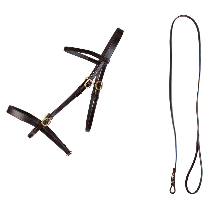 Inhand Bridle And Lead