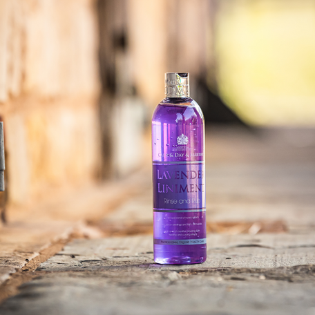 Carr & Day & Martin Lavender Lintment - Rinse and Rub