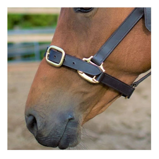 Leather Headcollar