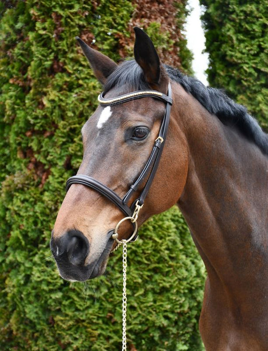 Rhinegold Show Bridle