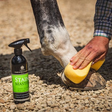 Carr & Day & Martin Stain Master Green Spot and Stain Remover