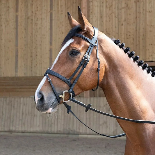 Antares Origin Anatomical Combined Bridle