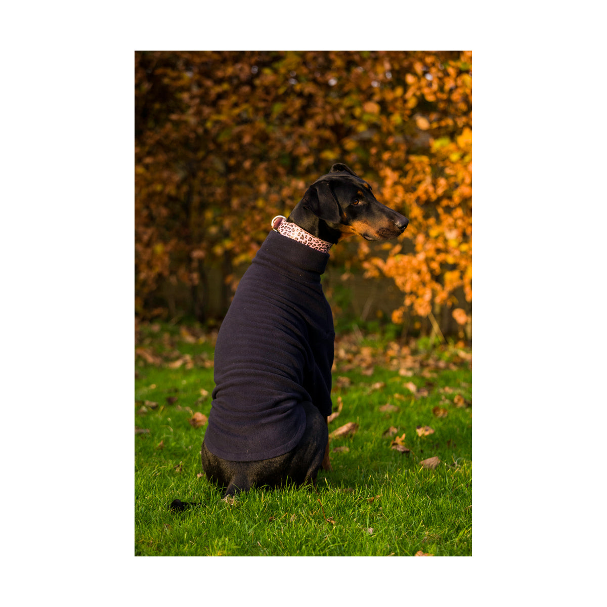 Cosy Fleece Jumper