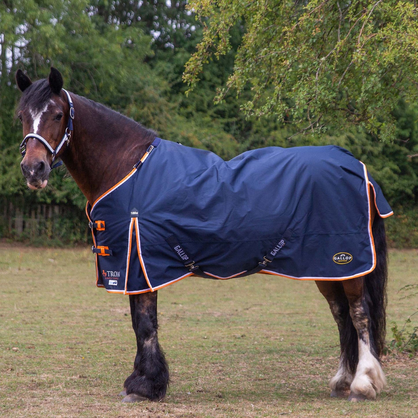TROJAN Duraproof 100g Turnout