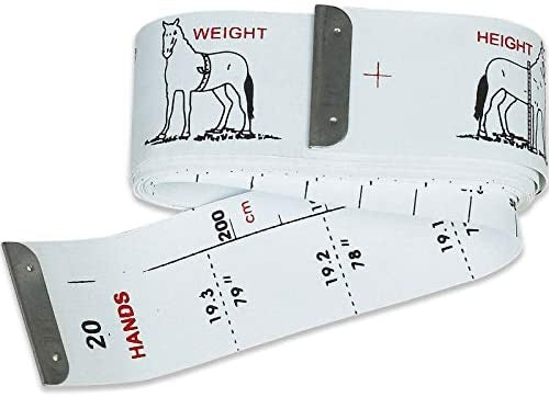 Easy-measure. Height and weight