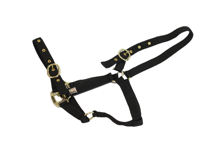 EQUISENTIAL Nylon Headcollar Foal