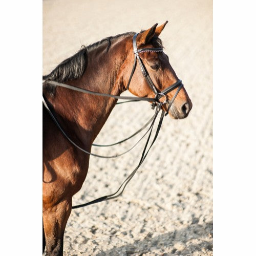 HG Draw Reins