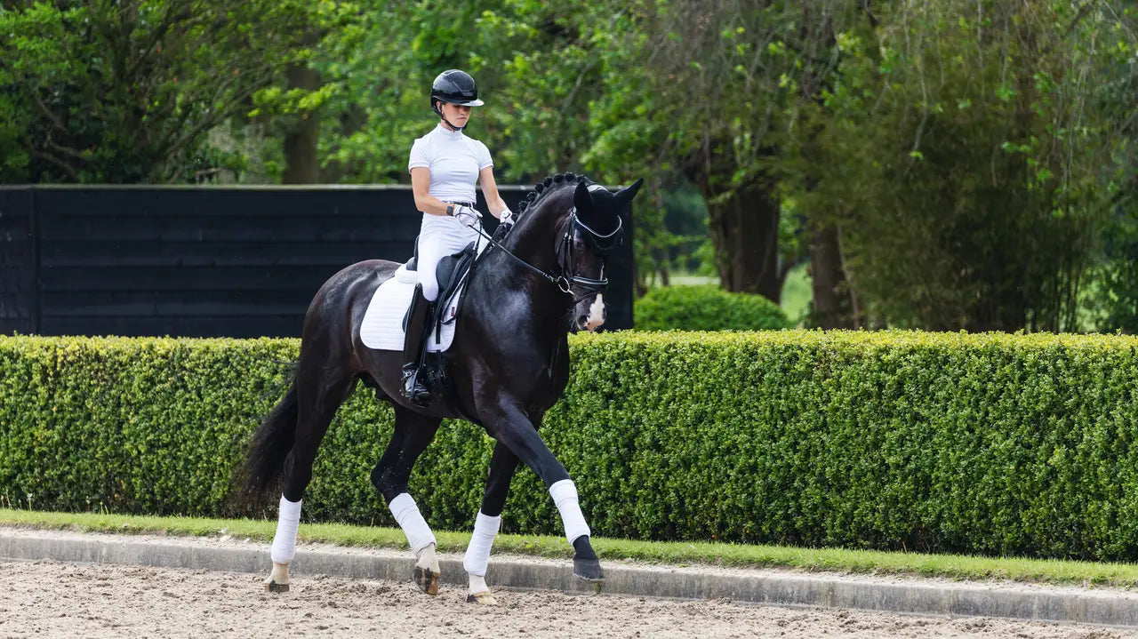 LeMieux Suede Dressage Square - White