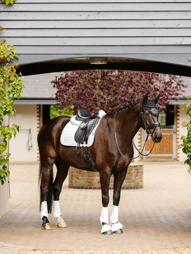 LeMieux Suede Dressage Square - White