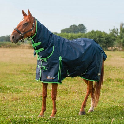 Gallop Lightweight Combo Rug