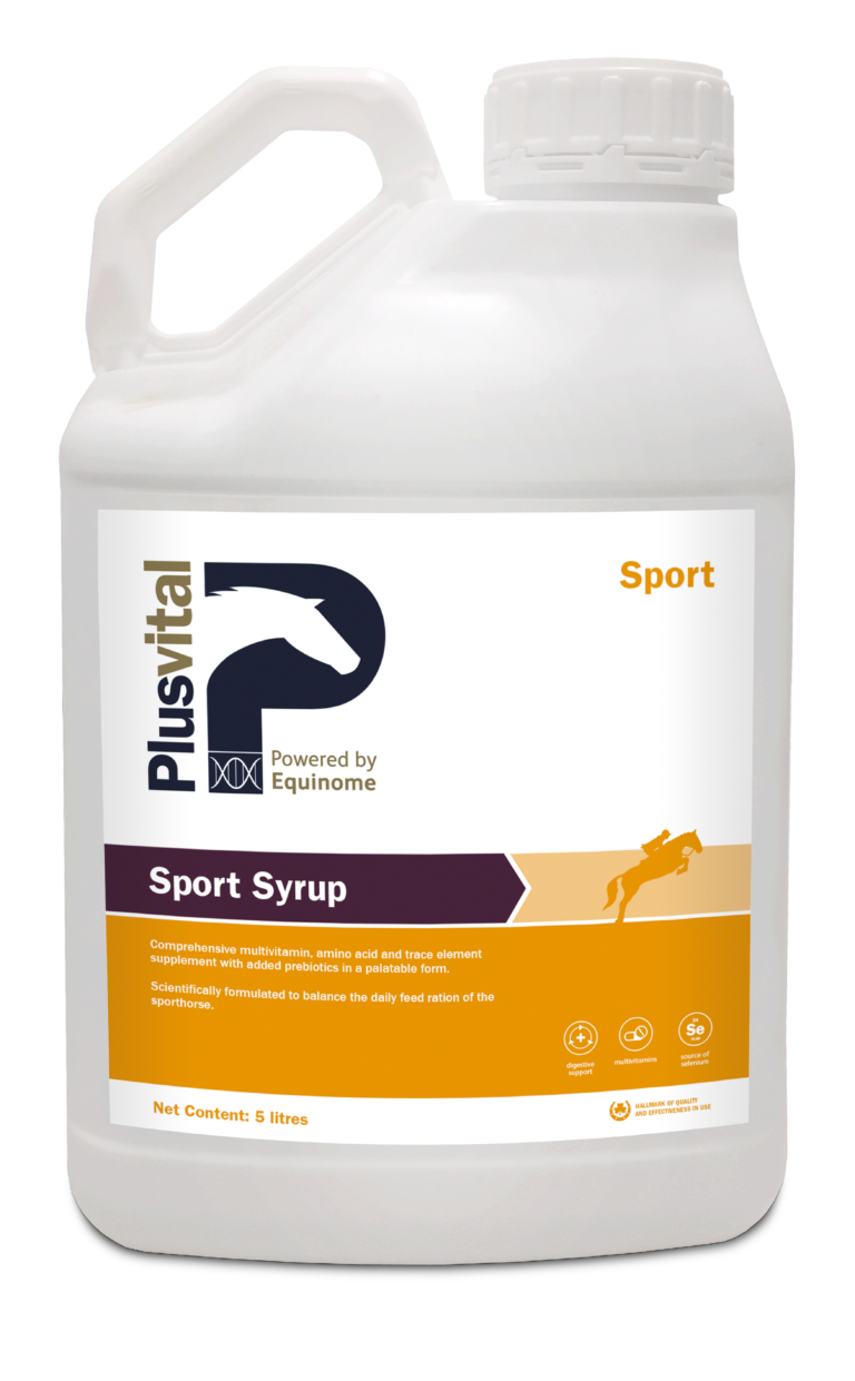 Plusvital Sport Syrup