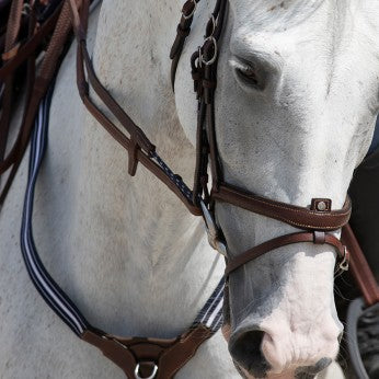 Antares Signature Bridle