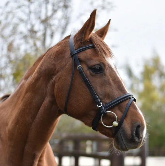 Equi-sential Flash Bridle