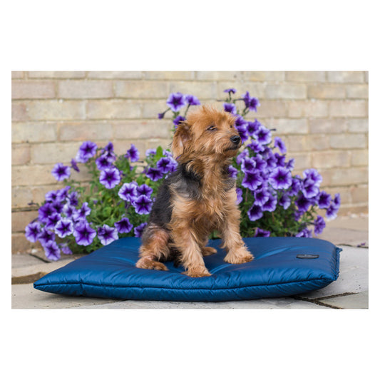 Storm Waterproof Dog Bed