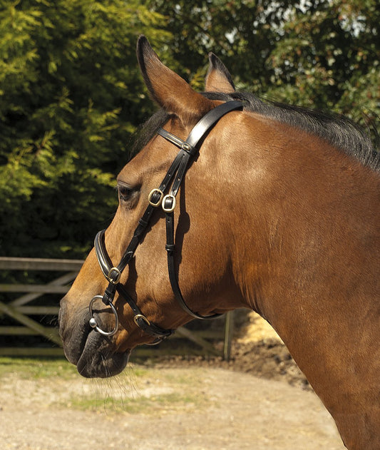 Windsor Equestrian Leather In-Hand Bridle