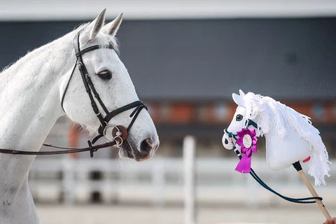 Hobby Horsing