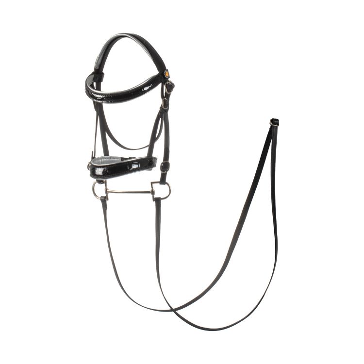 Hobby horse bridle in shiny leather