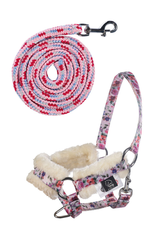 Head collar and lead rope