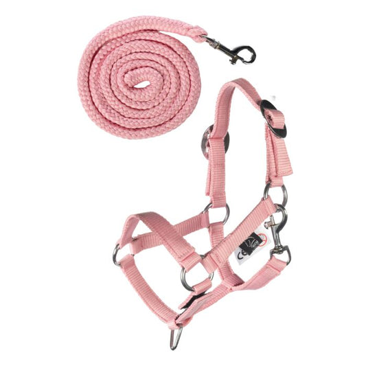 Head collar and lead rope -Hobby Horsing