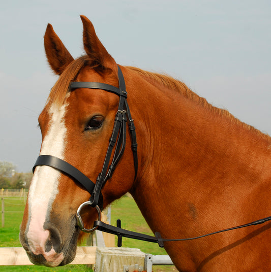 Heritage Saddlery English Leather Hunter Bridle With Wide Cavesson Noseband Categories : Heritage / Leatherwork / Heritage English Leatherwork