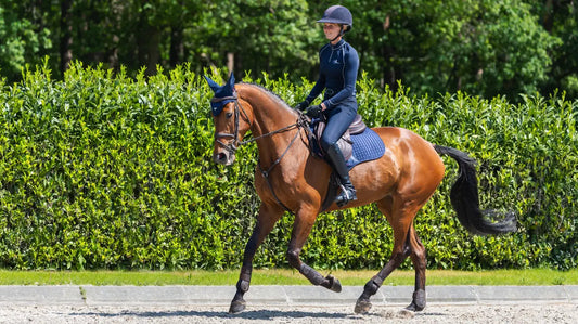 LeMieux Suede Close Contact Square - Navy