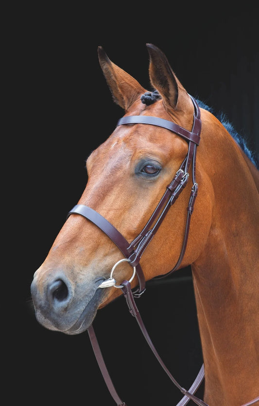 Shires Salisbury Berrington Bridle