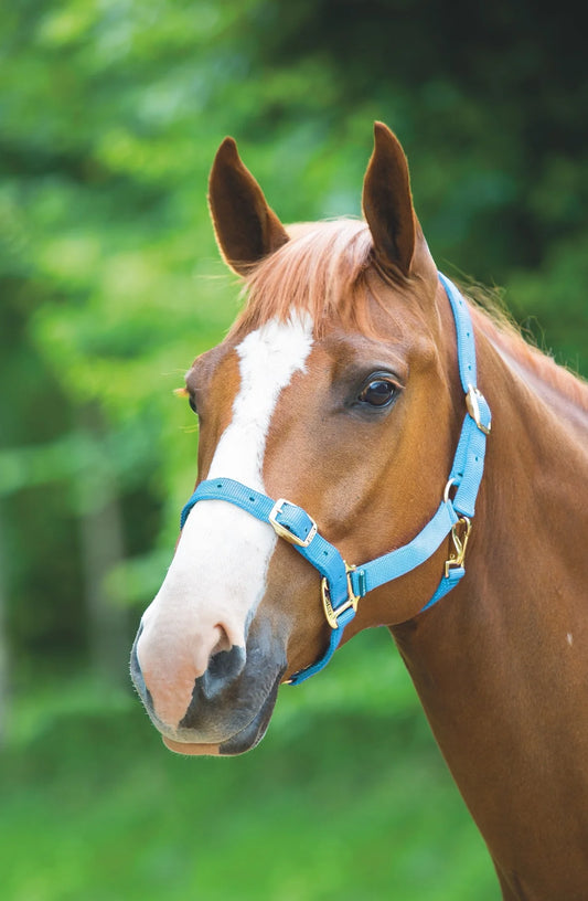 Shires Adjustable Nylon Headcollar