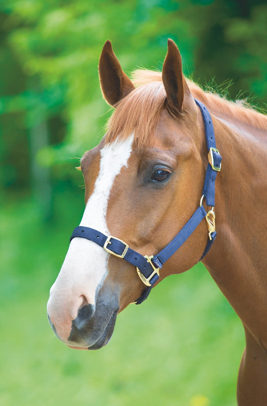 Shires Adjustable Nylon Headcollar