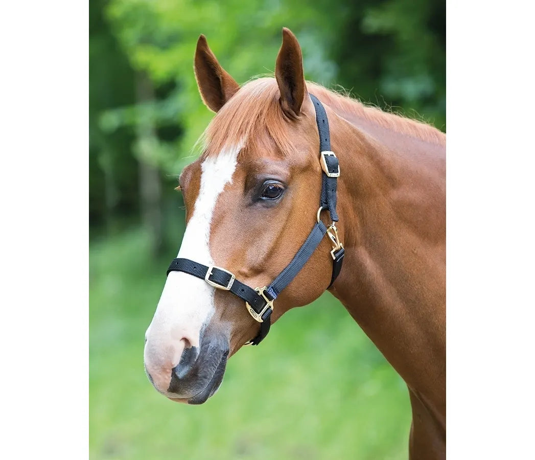 Adjustable Nylon Head Collar