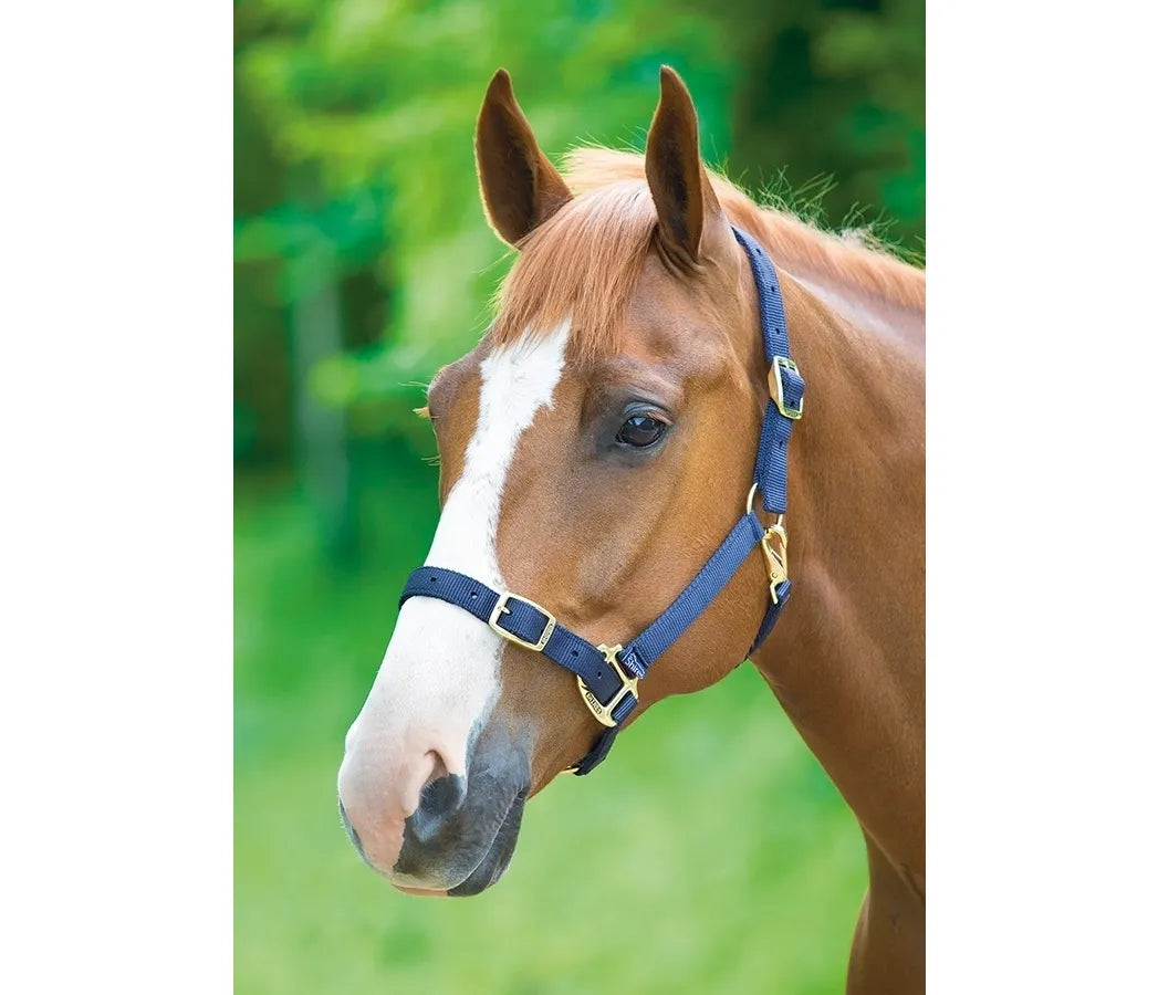 Adjustable Nylon Head Collar