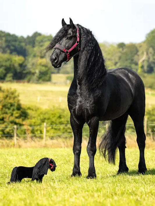 LeMieux Toy Pony - Spike
