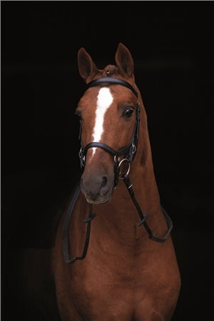 Rambo Micklem Competition Bridle