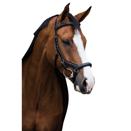 Rambo Micklem Deluxe Compeitition Bridle