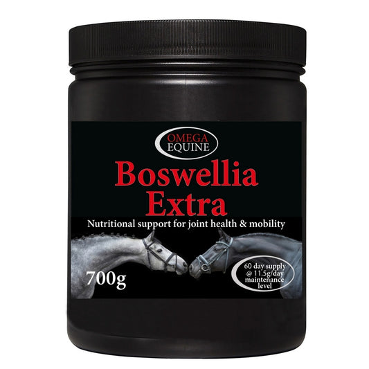 Omega Equine Boswellia Extra