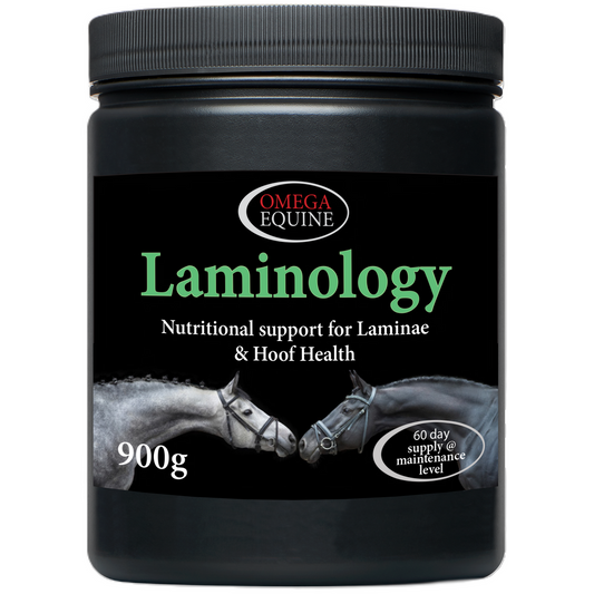 Omega Equine Laminology (900g)